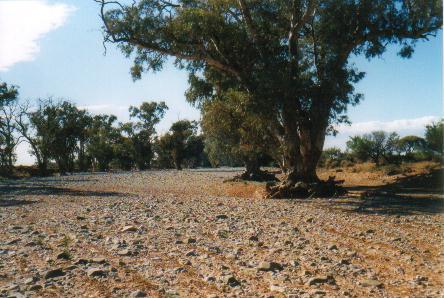 drycreekbed2.jpg