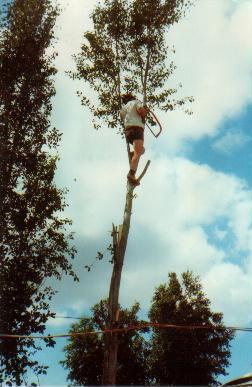 treeclimb2.jpg